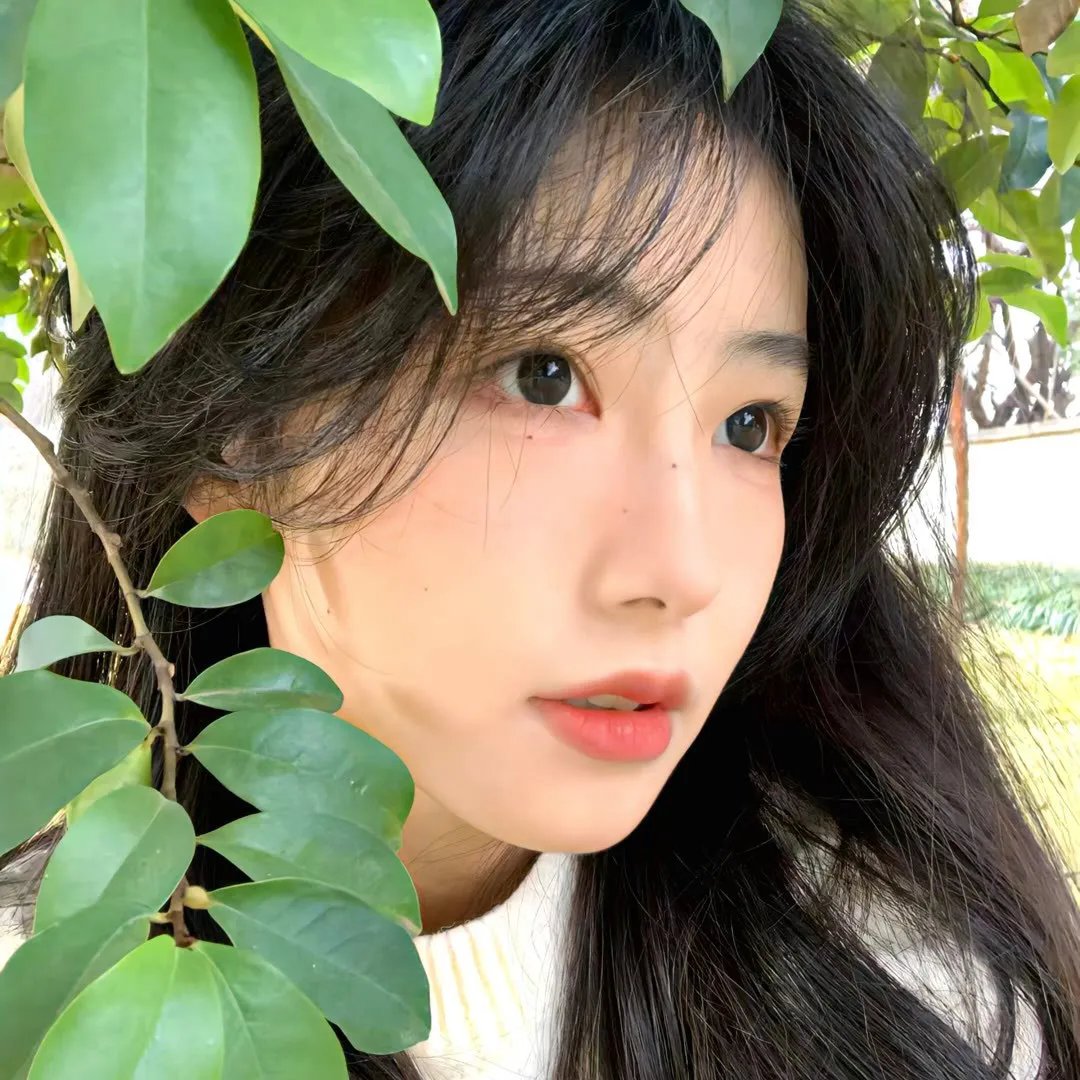 记忆中的你